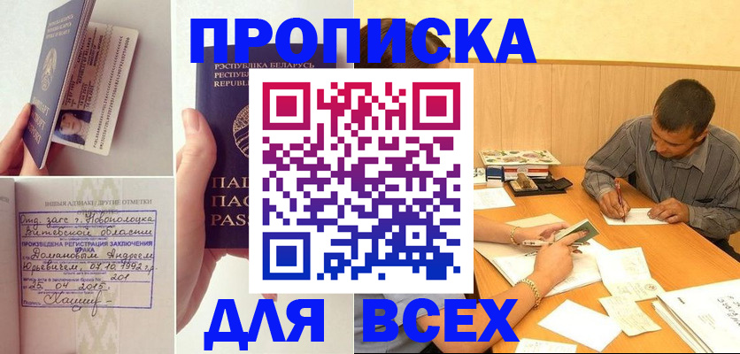 временная прописка в Щёлково